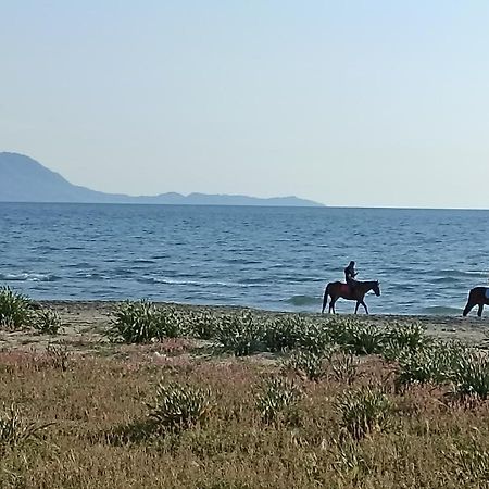 Pozzuoli-Licola Mare Διαμέρισμα Εξωτερικό φωτογραφία