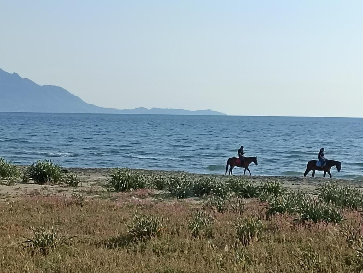 Pozzuoli-Licola Mare Διαμέρισμα Εξωτερικό φωτογραφία